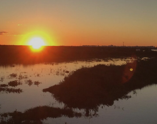 Foto estero panorámica