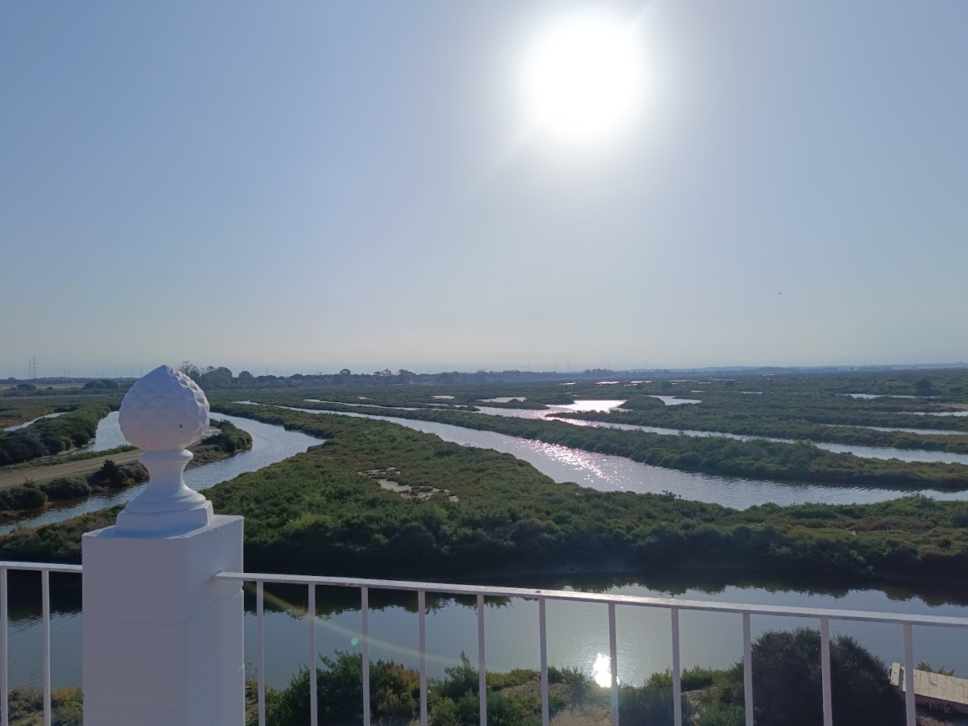Foto salina atardecer